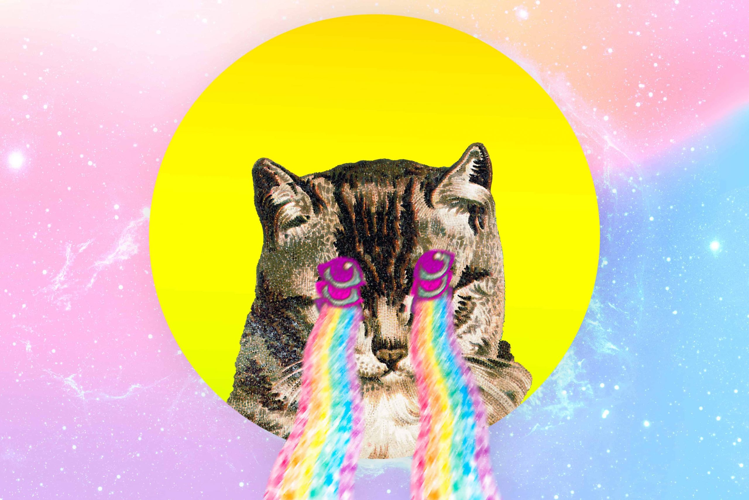 Funny Cat Names