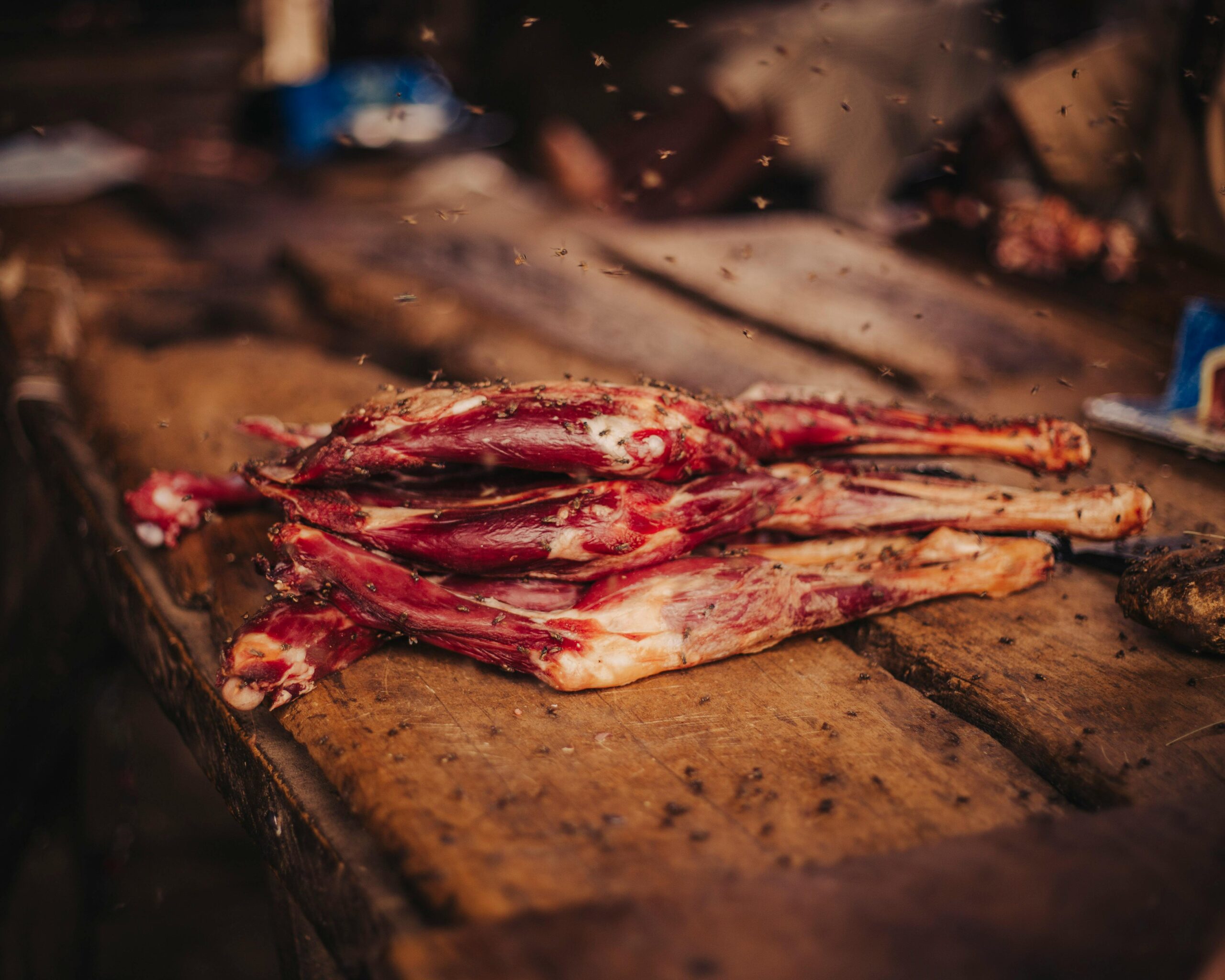 carnivore diet food list