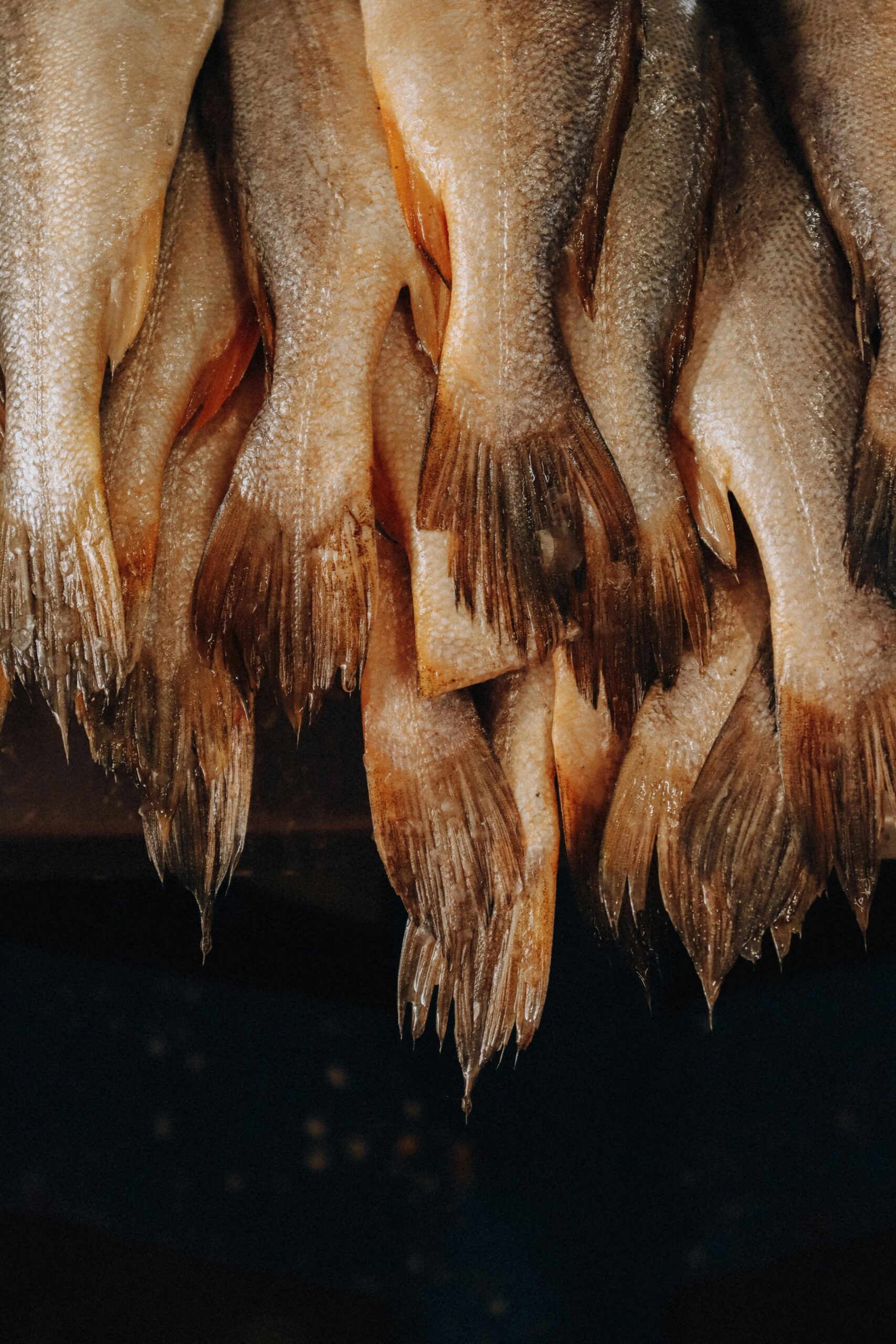cod-recipes