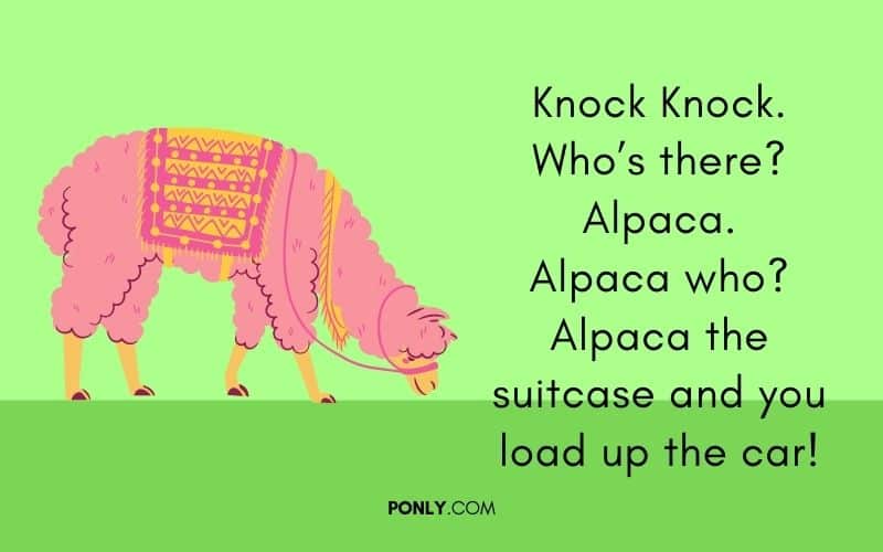 knock knock jokes for kids 2